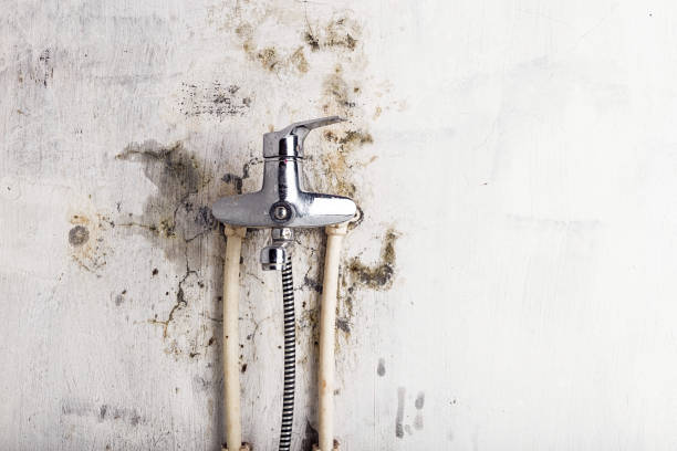 Best Water Damage Restoration  in First Mesa, AZ