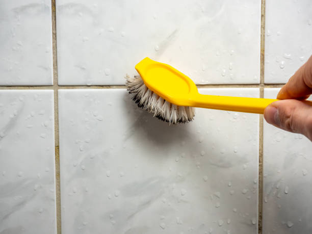 Best Black Mold Removal  in First Mesa, AZ